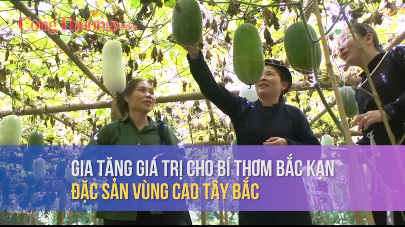 Gia tăng giá trị cho bí thơm Bắc Kạn – đặc sản vùng cao Tây Bắc