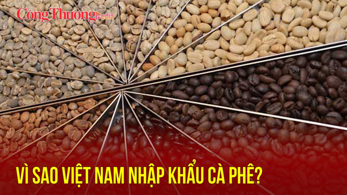 Vì sao Việt Nam nhập khẩu cà phê?
