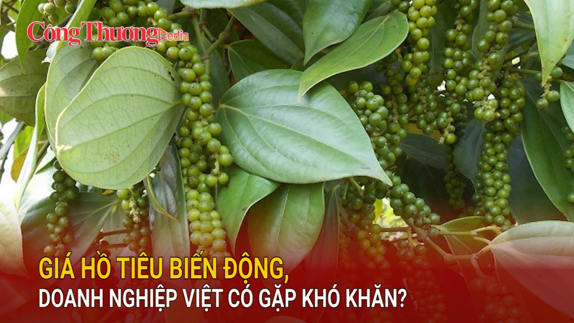 Giá hồ tiêu biến động, doanh nghiệp Việt có gặp khó khăn?