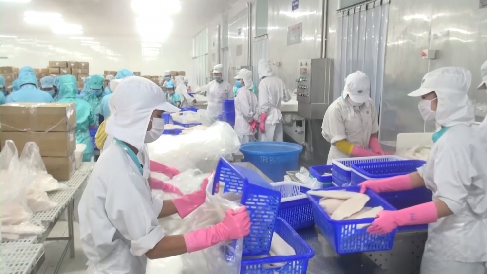 Thủy sản Việt Nam tăng tốc chiếm 10% thị phần nhập khẩu tại Singapore