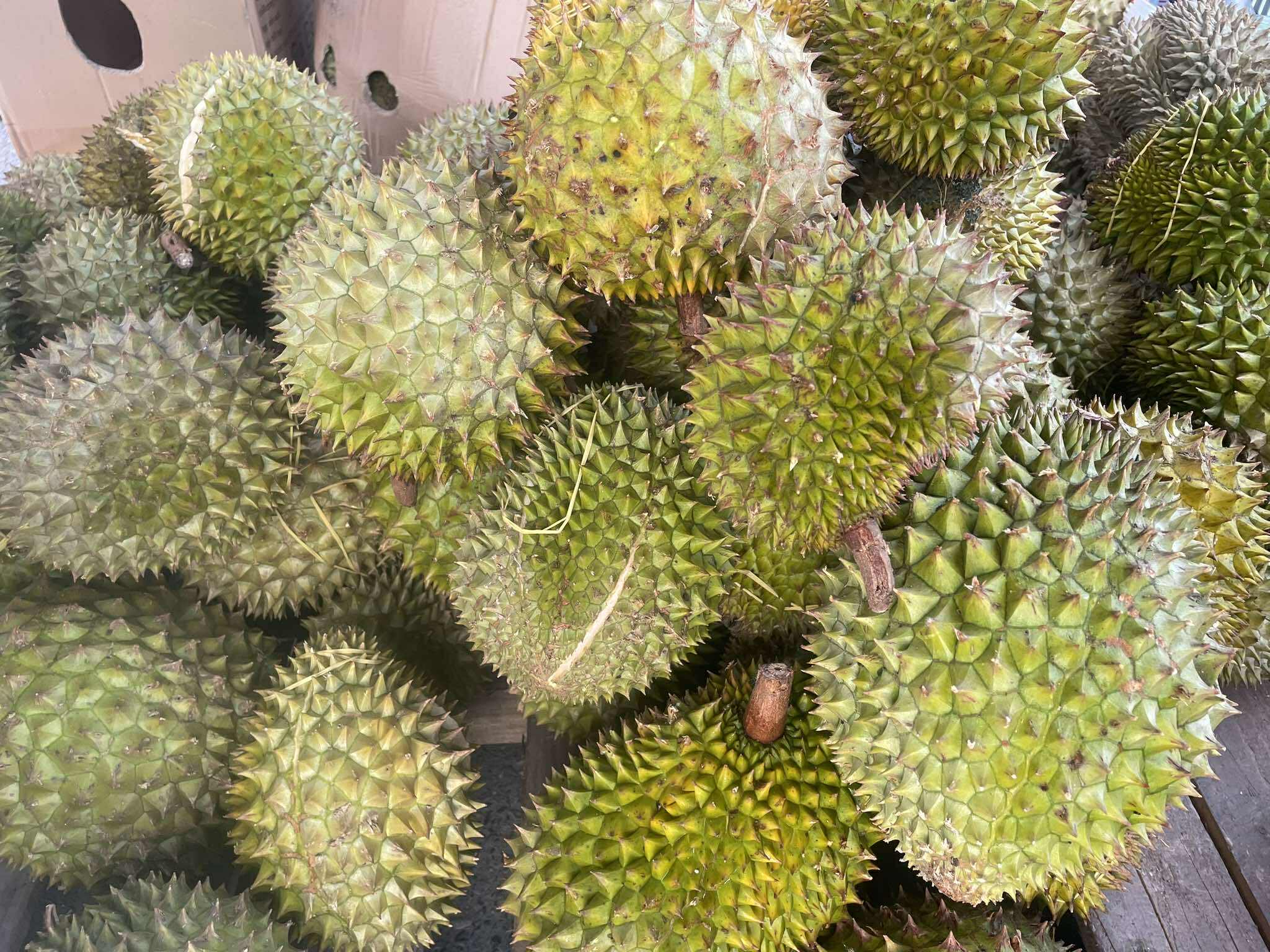 Sầu riêng giá rẻ 'như rau', dân tình đổ xô ‘hốt hàng’