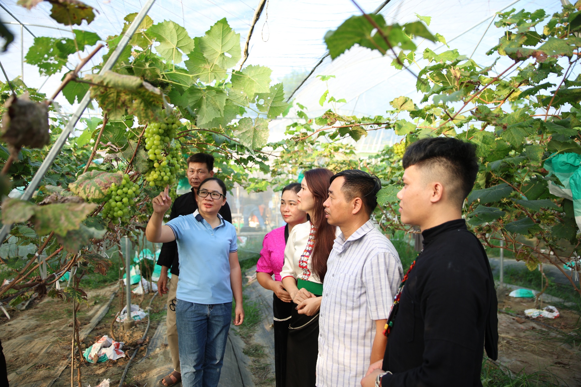 Đồng bào dân tộc miền núi Lai Châu chuyển mình làm kinh tế hàng hóa