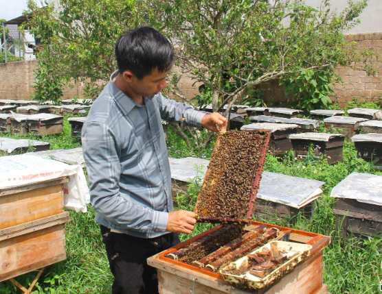 Mật ong Vân Hồ và câu chuyện xây dựng thương hiệu sản phẩm từ “tâm”