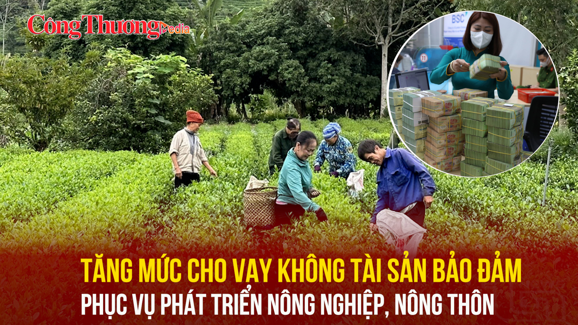 Tăng mức cho vay không tài sản bảo đảm phục vụ phát triển nông nghiệp, nông thôn