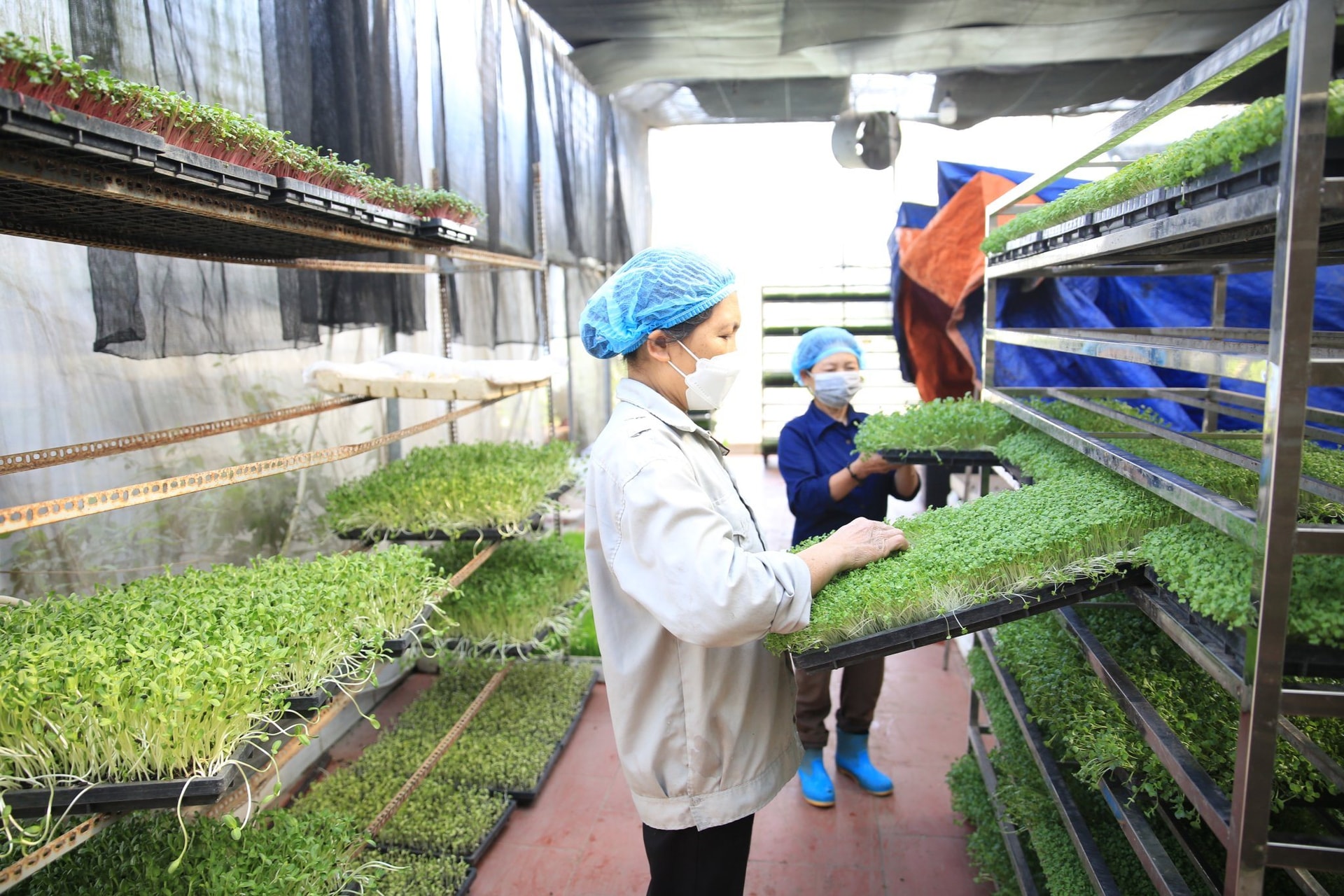 Doanh nghiệp Algeria tìm cơ hội hợp tác về chế biến nông, thủy sản
