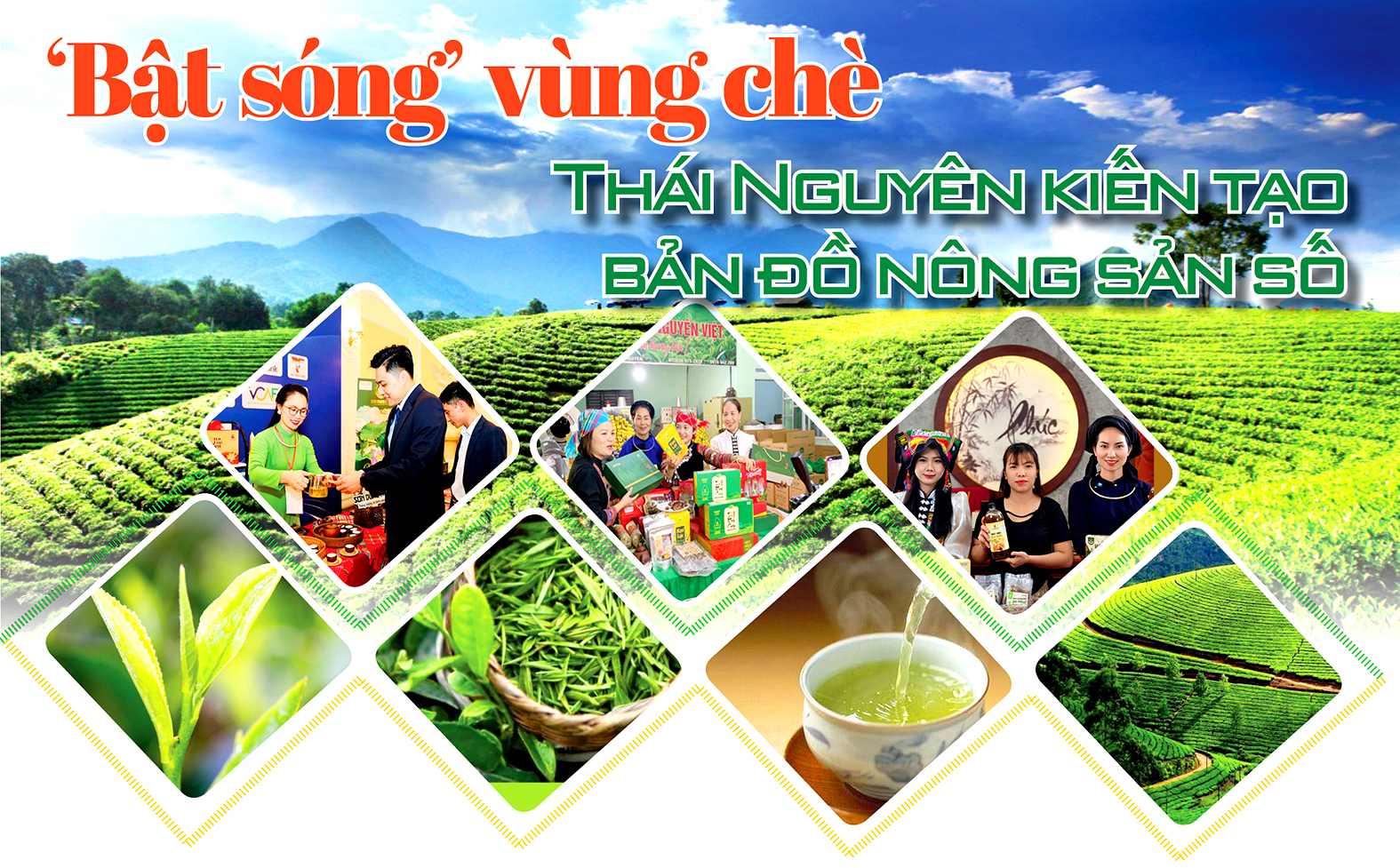 Longform | ‘Bật sóng’ vùng chè, Thái Nguyên kiến tạo bản đồ nông sản số