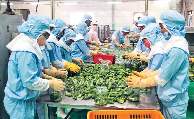 Thị trường Singapore - đại lộ cho rau quả Việt vào chuỗi phân phối quốc tế