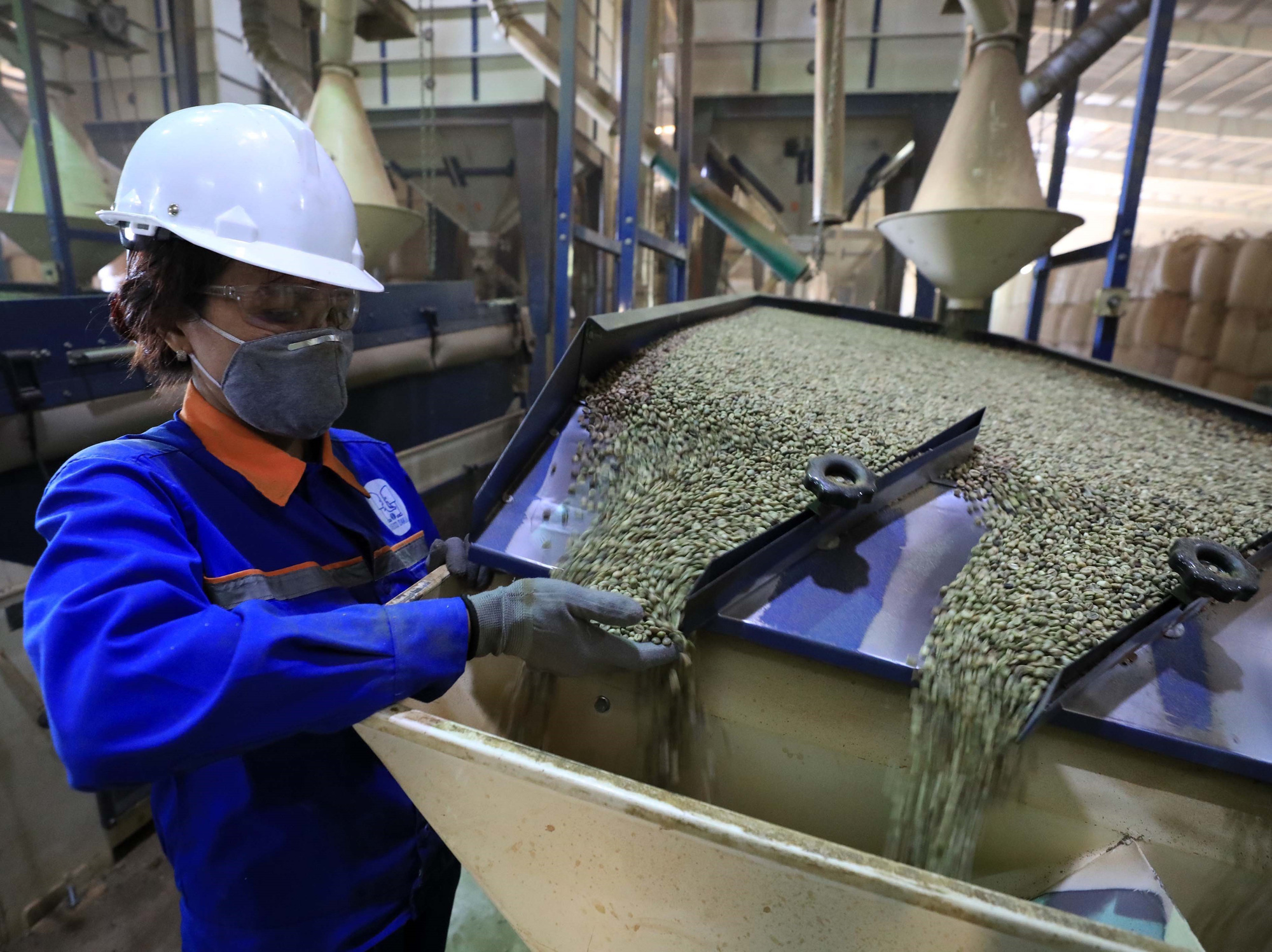 Ưu đãi thuế từ EVFTA giúp nông sản Đắk Lắk gia tăng lợi thế tại EU