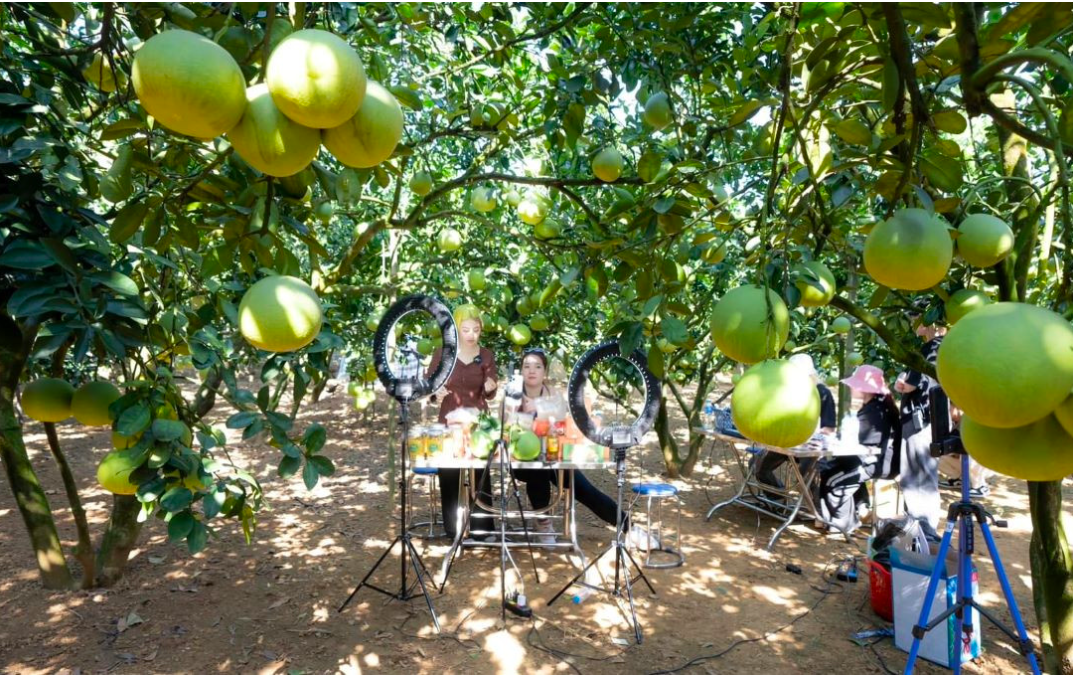 Phú Thọ: 'Mở lối' hội nhập cho sản phẩm của bà con dân tộc thiểu số