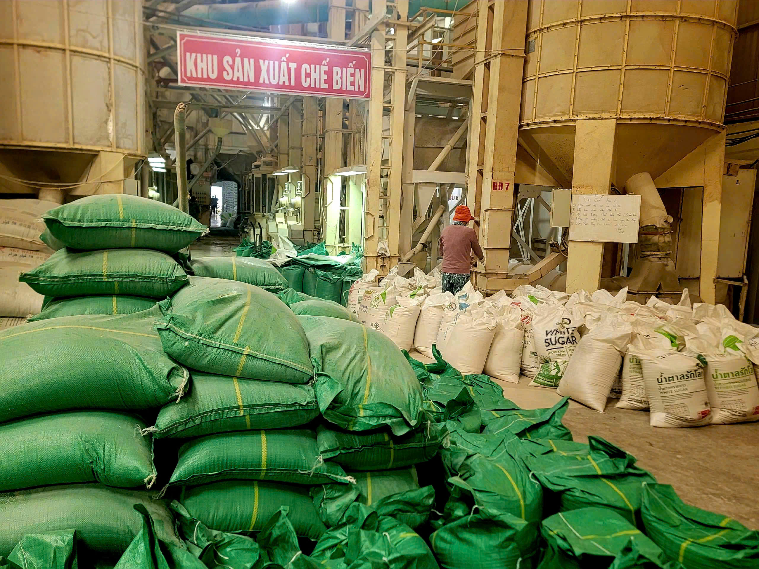 Cần Thơ mới, trái tim miền Tây - Bài 1: Sứ mệnh 'đầu tàu' phát triển vùng