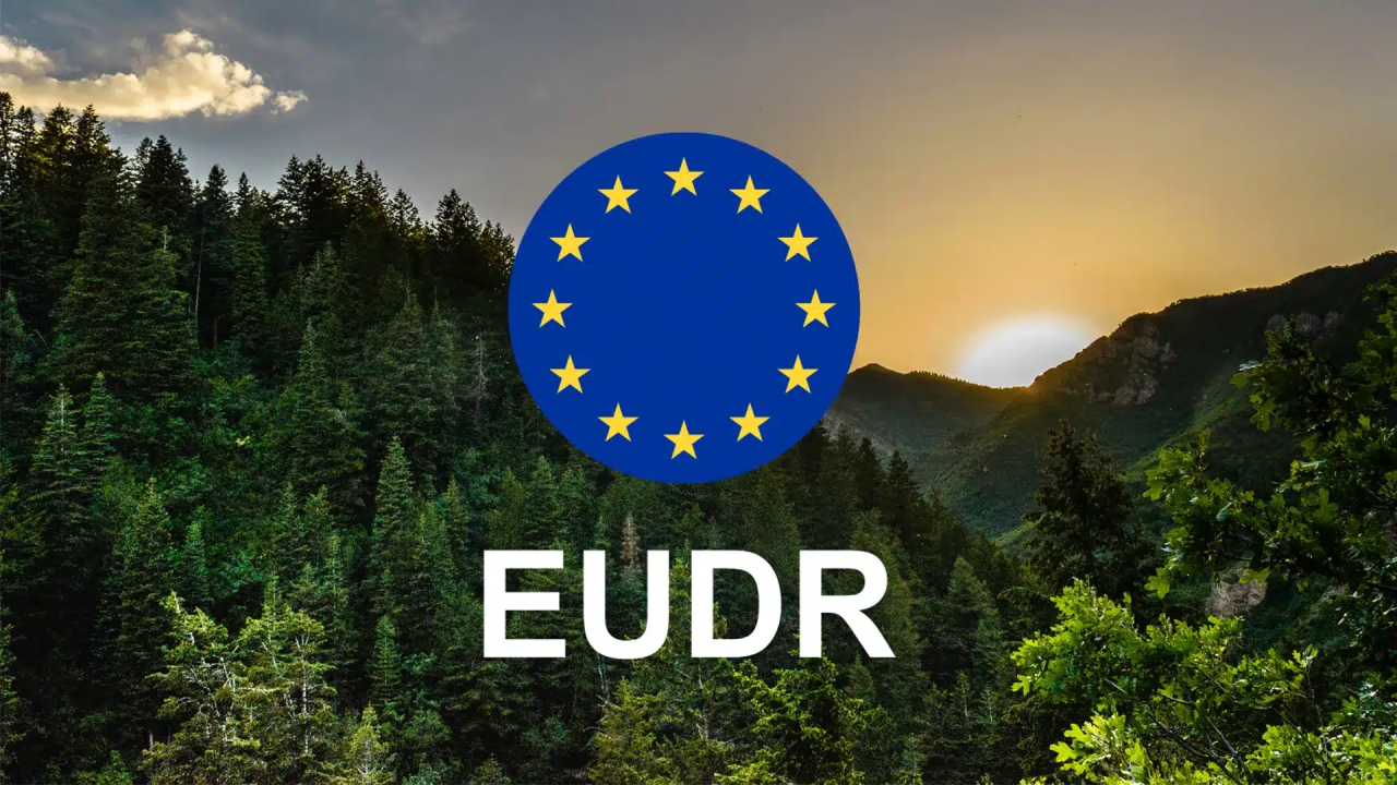 18 quốc gia tại EU kêu gọi hoãn và nới lỏng quy định EUDR