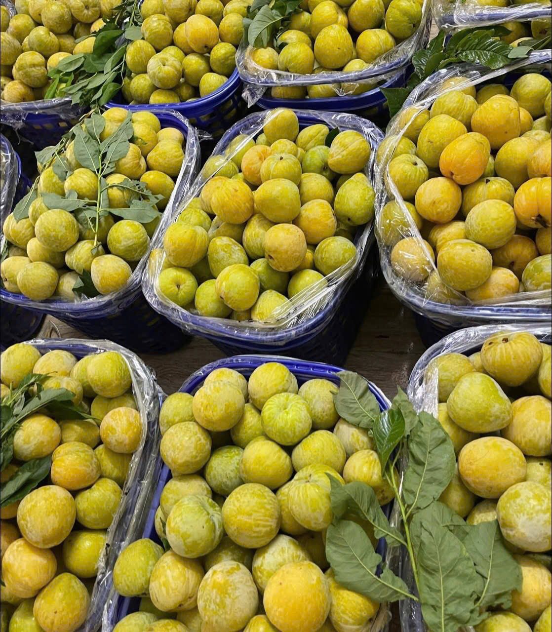 Loại trái cây từ Trung Quốc đổ bộ chợ Việt, giá cao vẫn hút khách