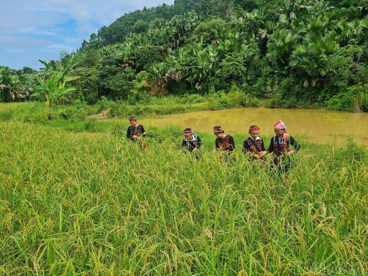 Lào Cai: Bảo tồn, phát huy giá trị di sản văn hóa phi vật thể quốc gia