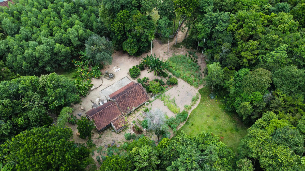 Gia đình ba thế hệ giữ gìn khu rừng quý ở Hà Tĩnh