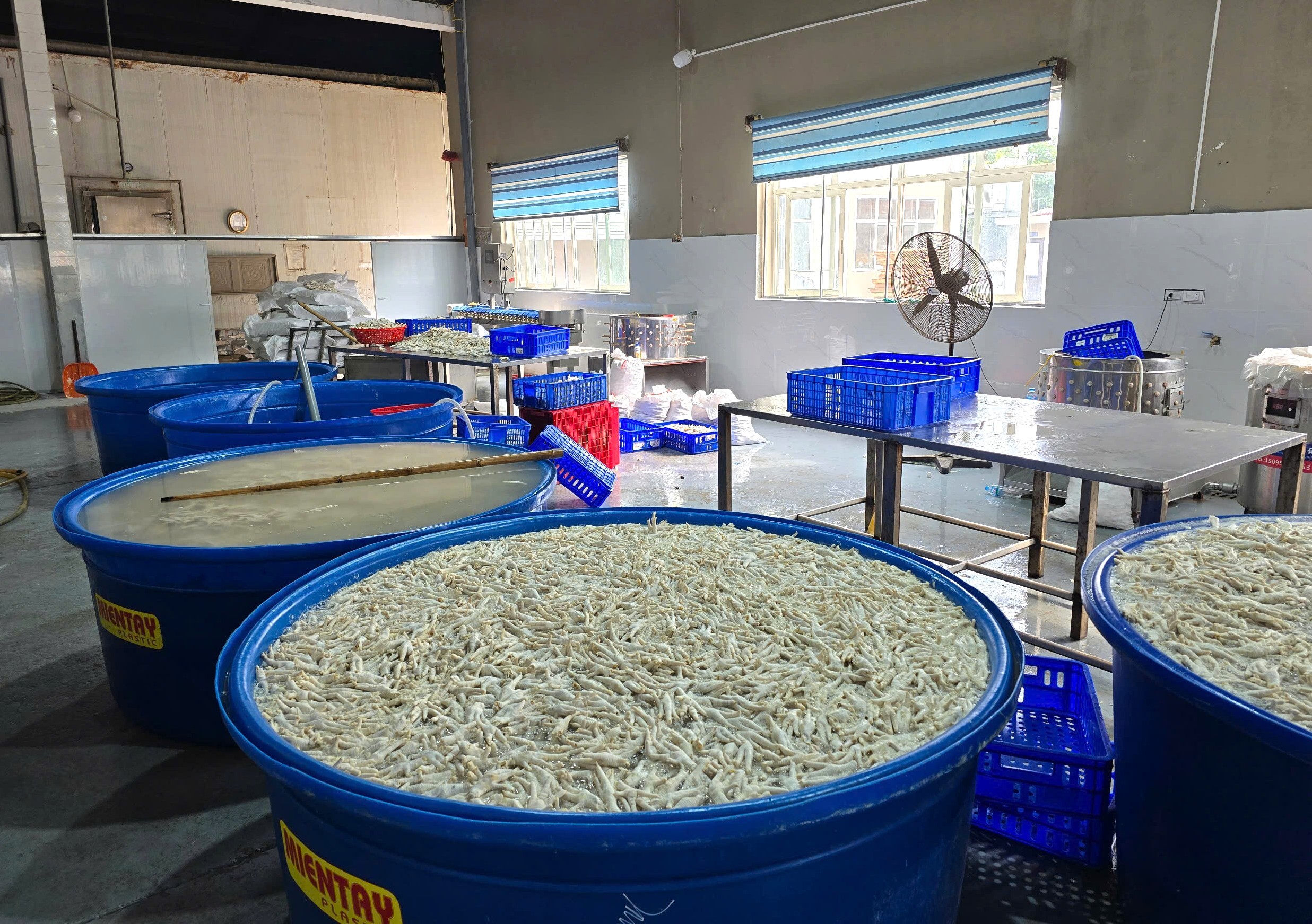 Thanh Hóa: Phát hiện 13 tấn chân gà đông lạnh, ngâm hóa chất H2O2