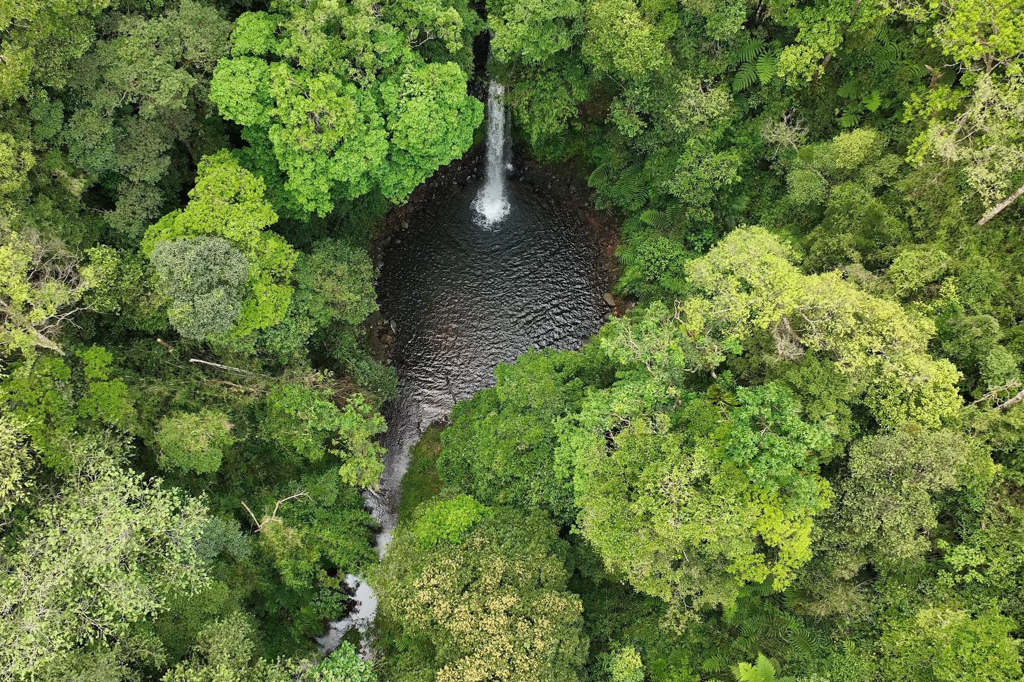 Ngắm 2 thác nước tự nhiên tuyệt đẹp giữa rừng Quảng Ngãi