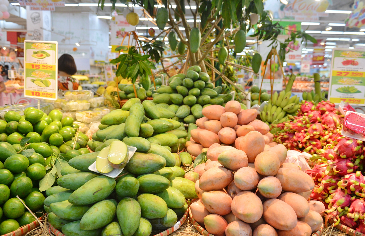 Sơn La vào chính vụ thu hoạch rau quả: Chủ động thị trường, tăng tốc chế biến sâu