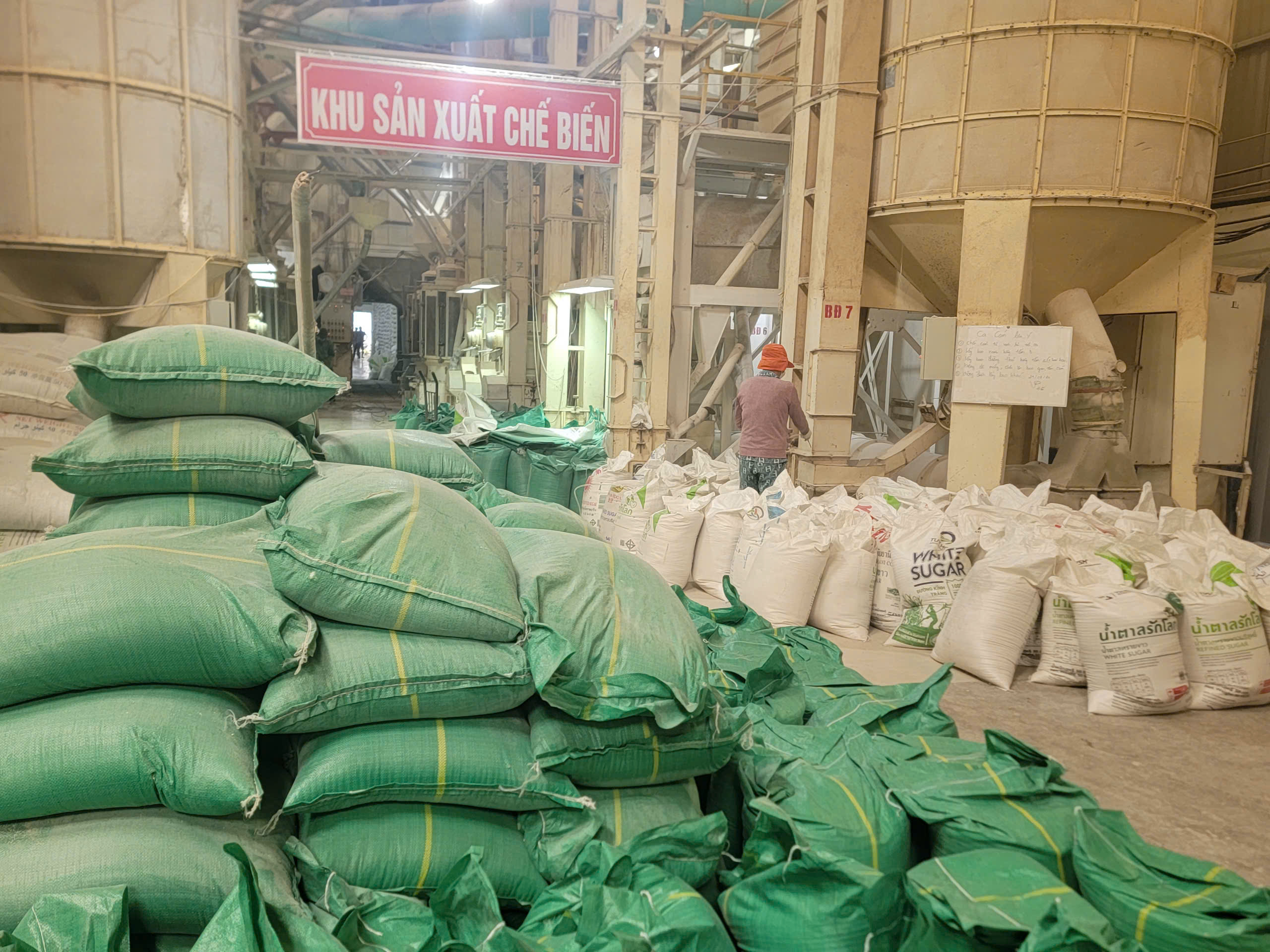 Cú huých cho sản xuất lúa gạo vùng Đồng bằng sông Cửu Long