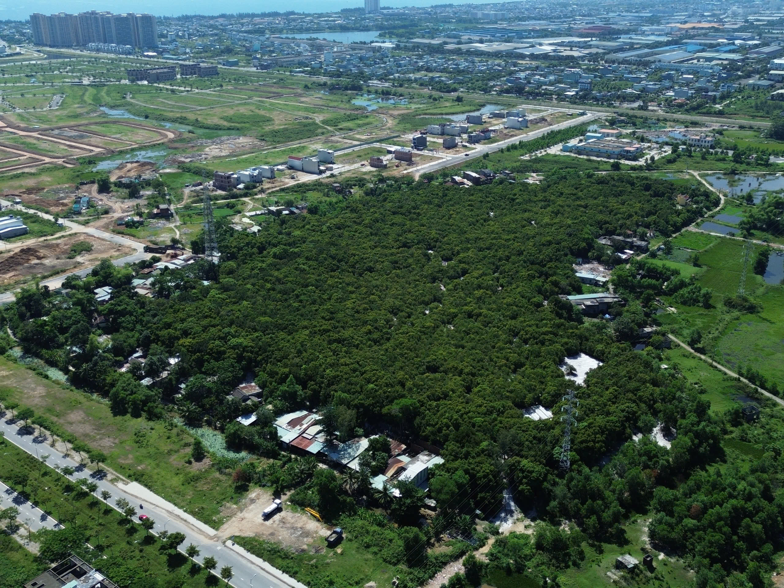 Giữ rừng xanh giữa trung tâm thành phố Đà Nẵng