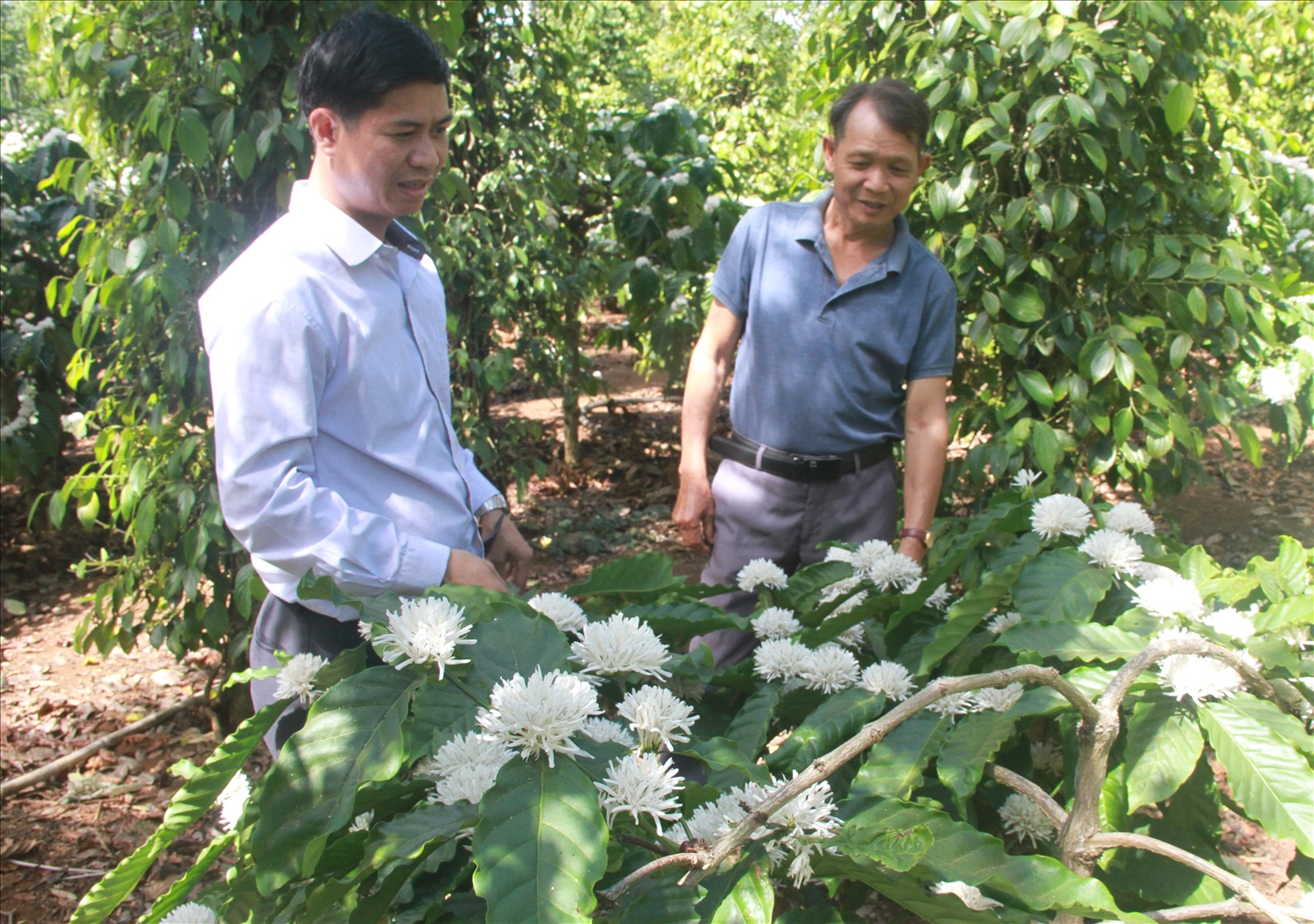 Du lịch canh nông: Thêm ‘lối mở’ mới cho nông sản Đắk Lắk