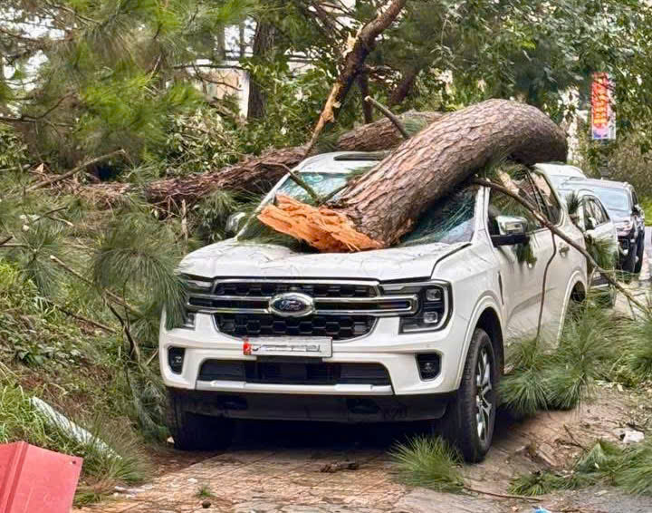 Lâm Đồng thiệt hại hàng tỷ đồng do bão số 3 gây ra