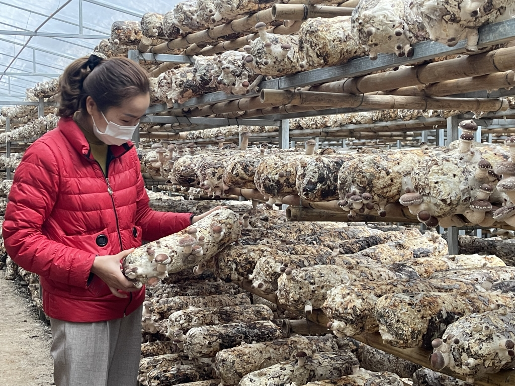 Khuyến công Cao Bằng: Hiệu quả lớn bắt đầu từ những đề án nhỏ