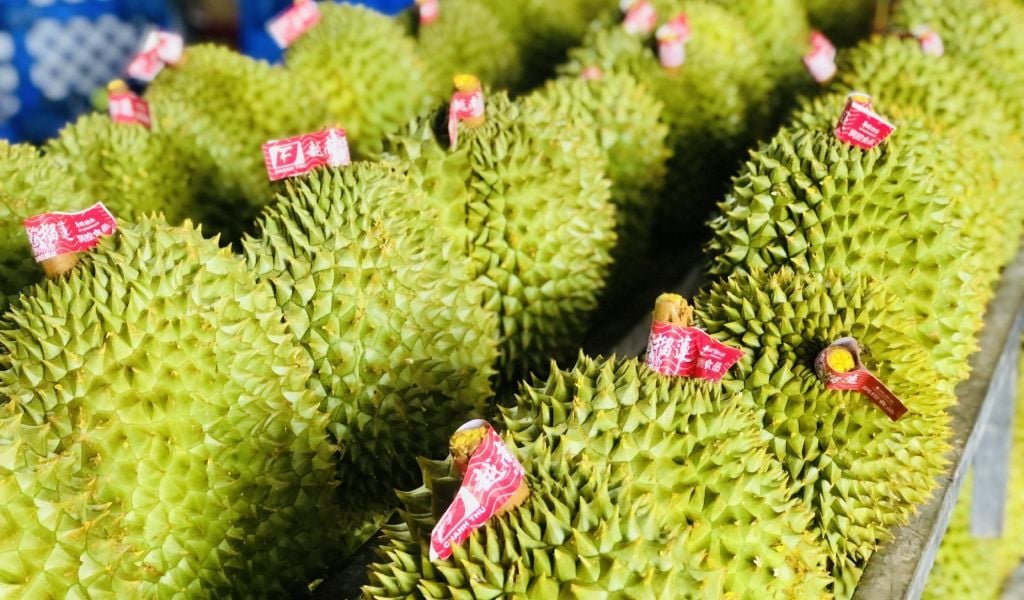 Xuất khẩu rau quả Việt Nam lập đỉnh tháng 6, sầu riêng dẫn dắt đà tăng