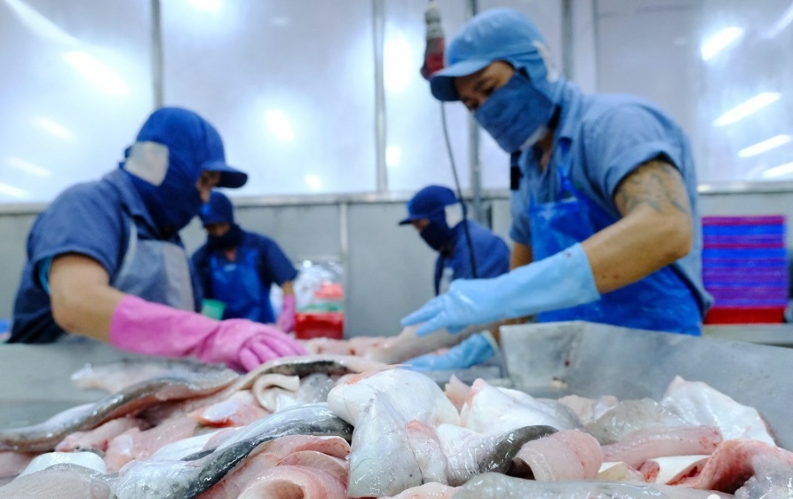 Vĩnh Hoàn (VHC): Kịch bản sáng, nhưng chưa thể 'buông lỏng tay chèo'