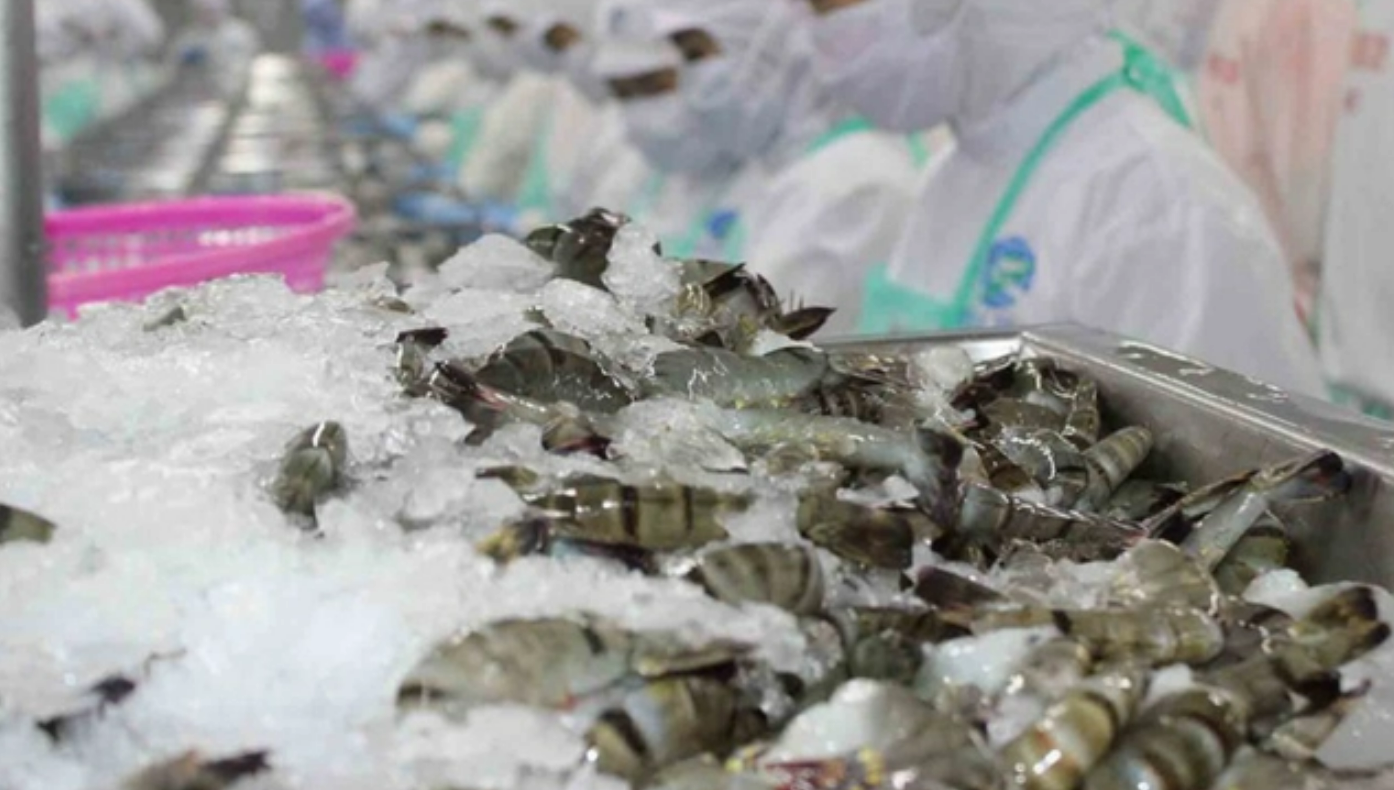 Ngành thủy sản hướng tới mục tiêu 10 tỷ USD trong năm 2025