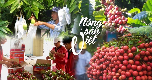 Gắn nông sản với địa danh: Con đường xây dựng thương hiệu mạnh 