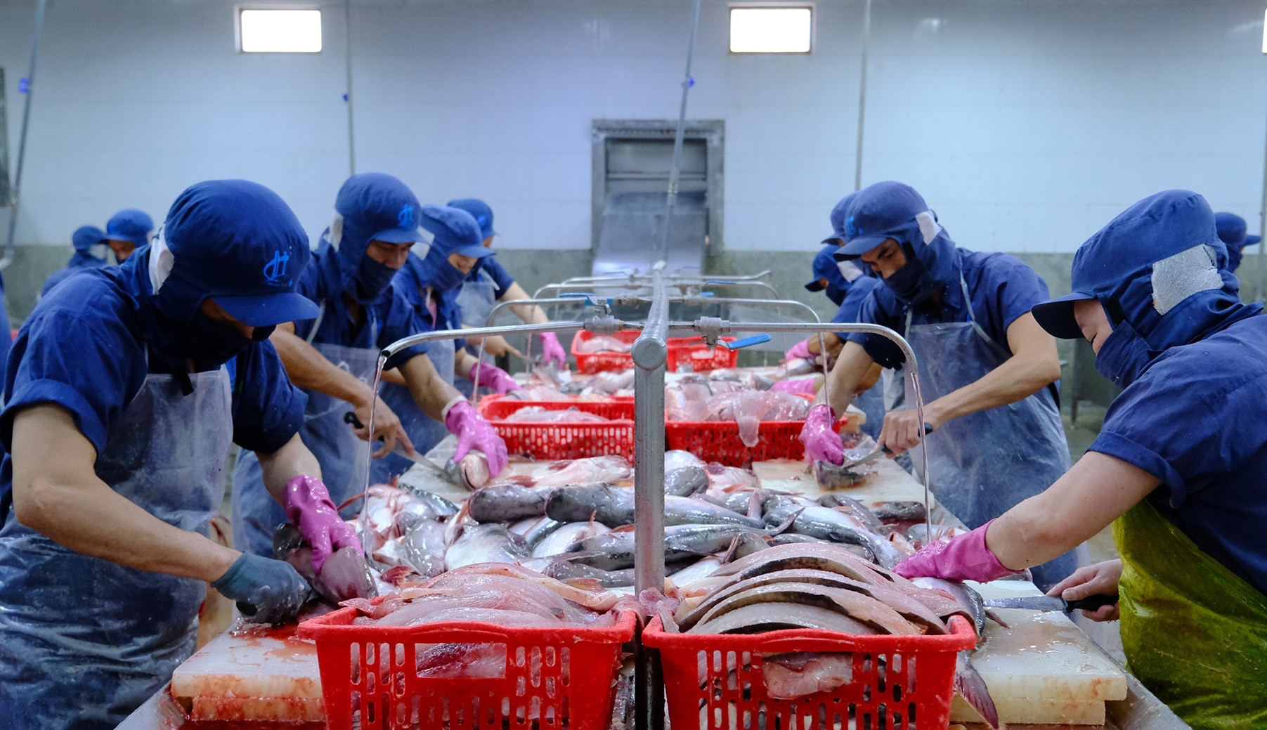 Xây chuỗi - mở kênh: Đòn bẩy mới để nông thủy sản chinh phục EU