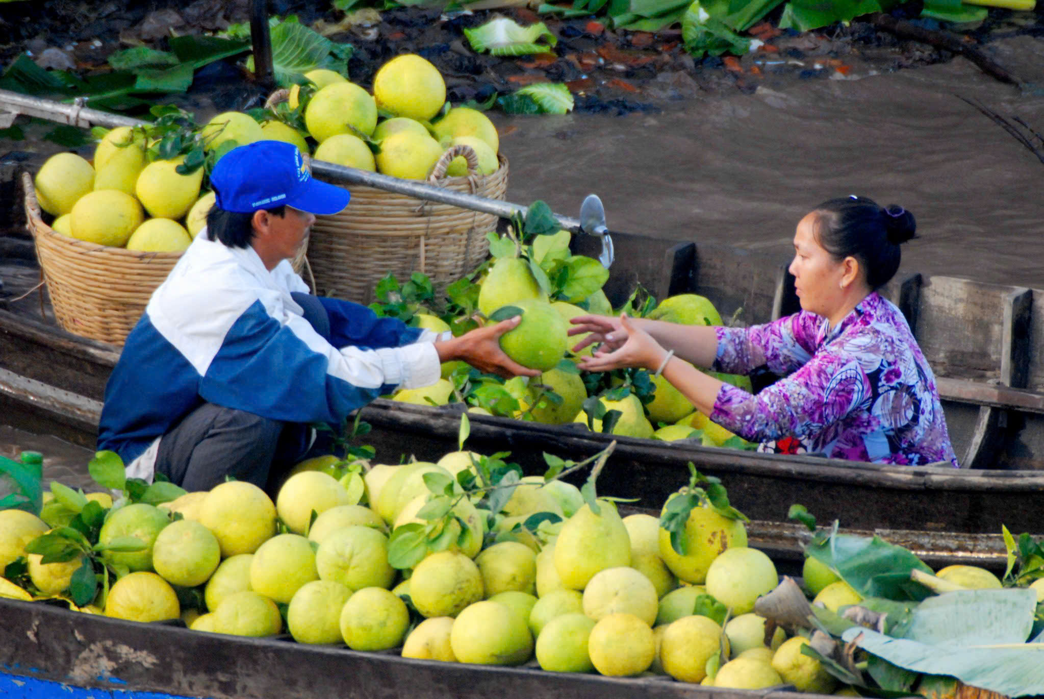 EVFTA giữ vững nhịp tăng trưởng thương mại Việt Nam - EU