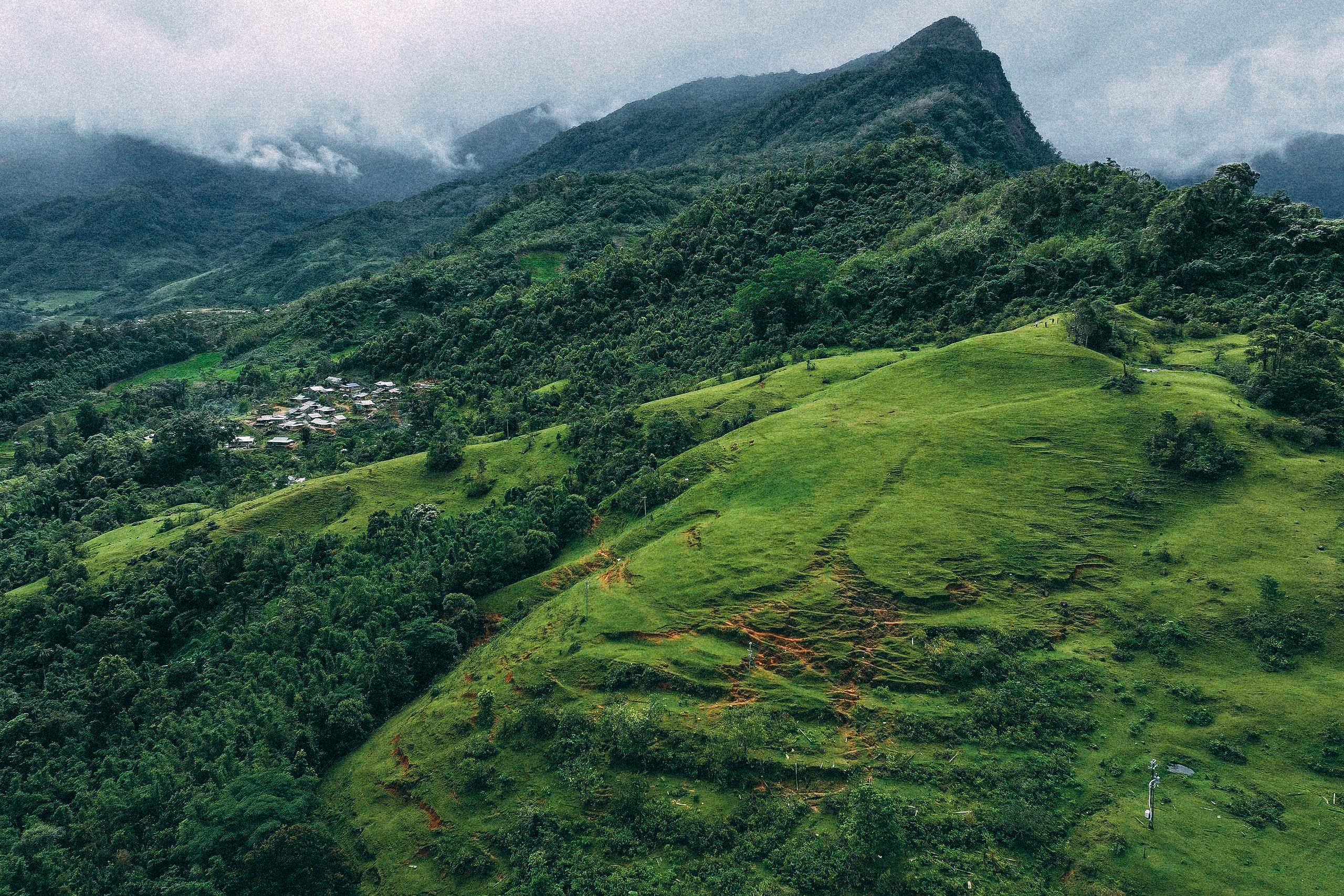 Đà Nẵng: Cánh đồng 'săn mây' Tak Pang hút khách