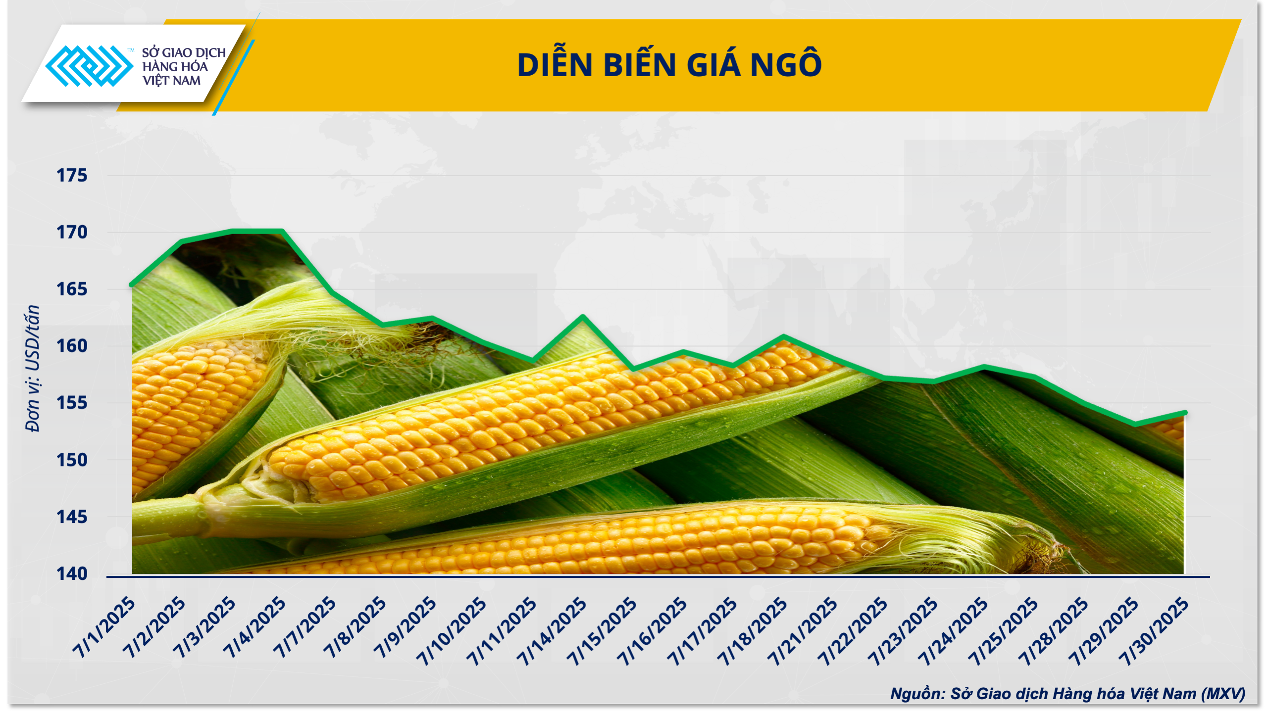Giá ngô rẻ, chất lượng cao: Cơ hội tái cơ cấu nguồn cung cho ngành chăn nuôi