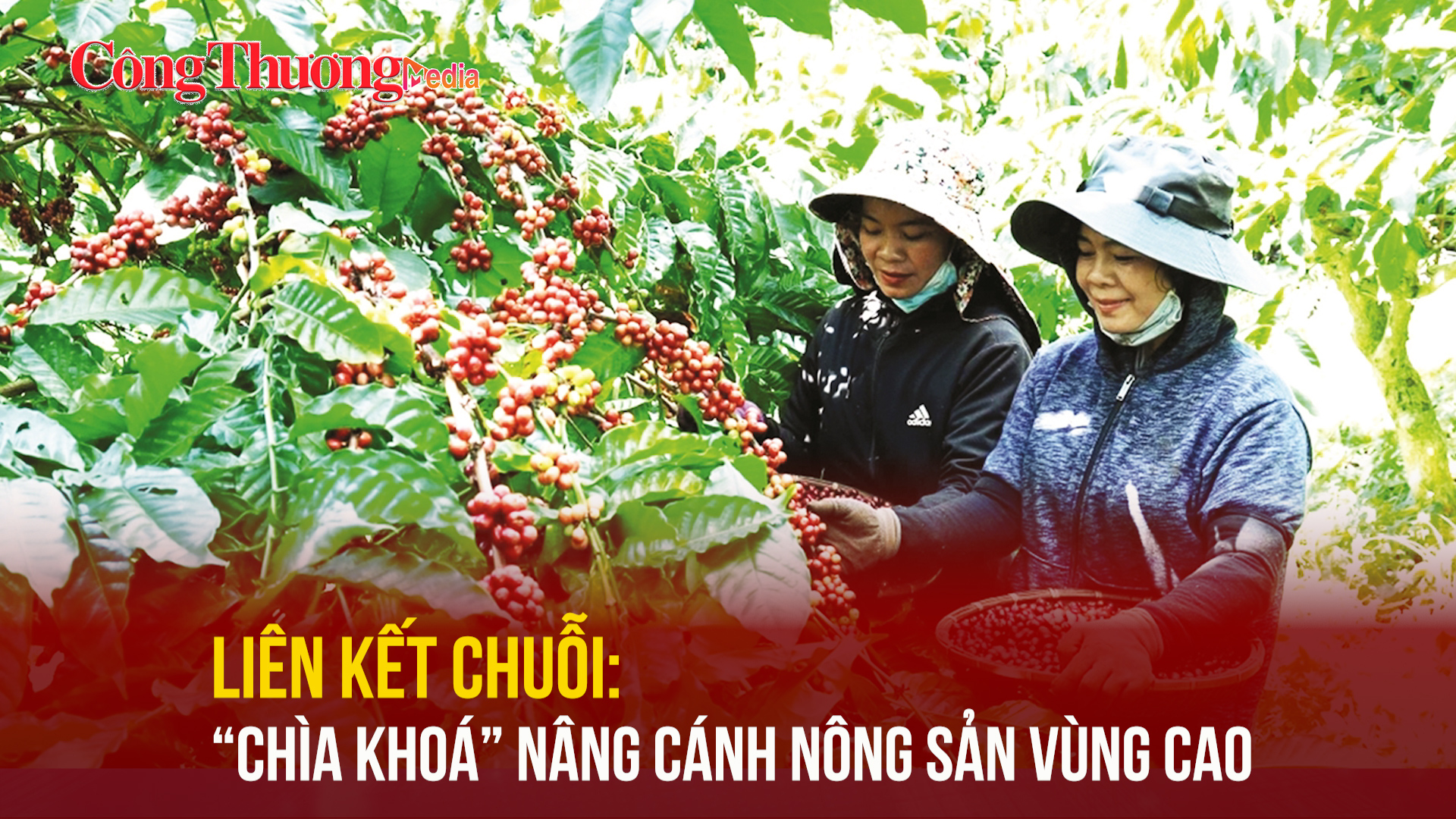 Liên kết chuỗi: 'Chìa khoá' nâng cánh nông sản vùng cao