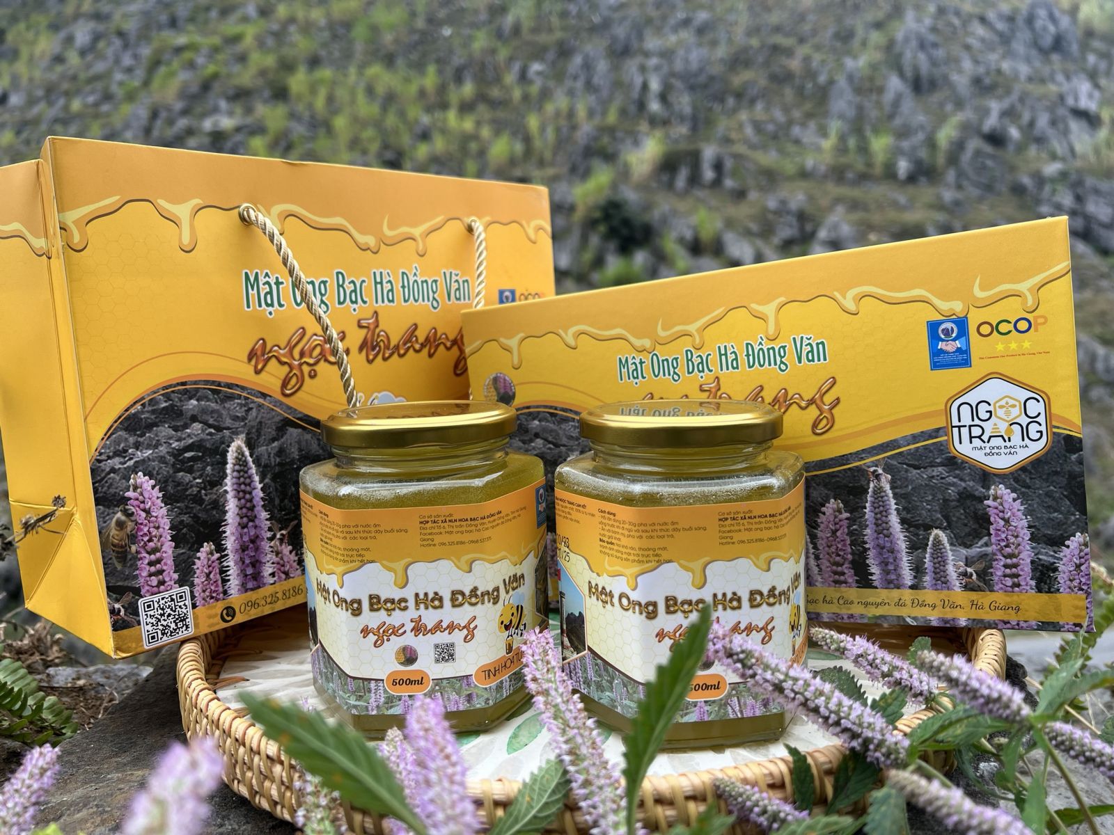 Mật ong bạc hà: “Giọt vàng” tạo sinh kế bền vững cho đồng bào dân tộc Tuyên Quang
