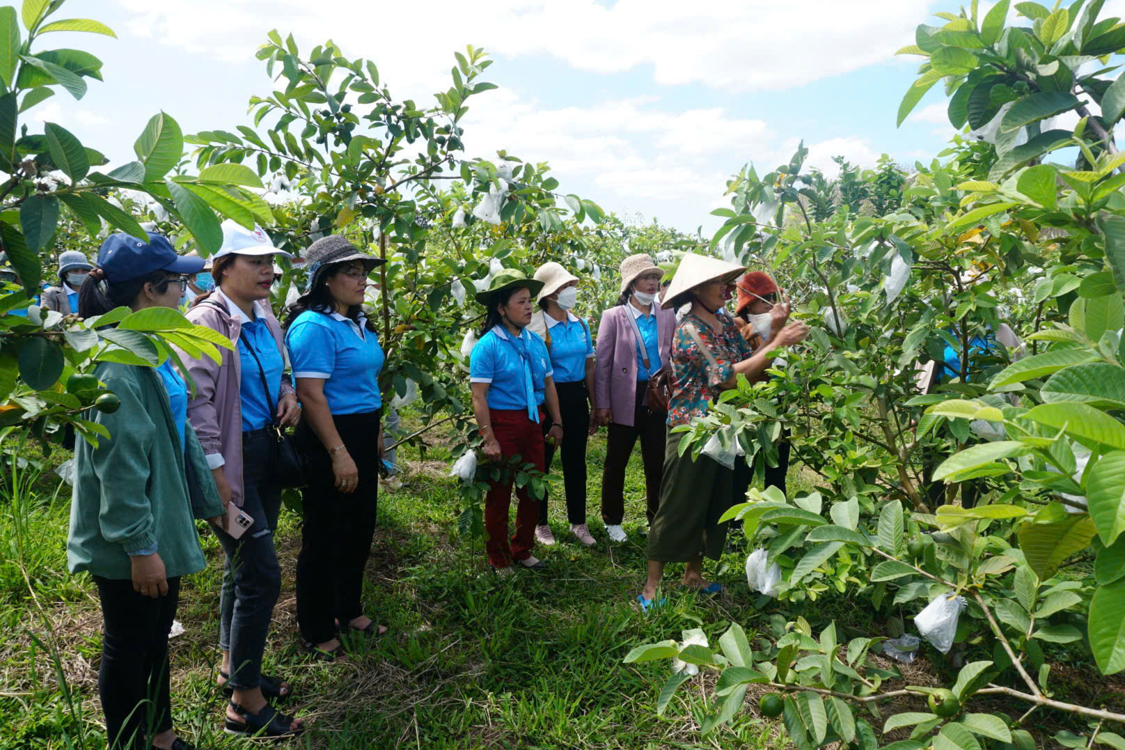 Xã biên giới Quảng Ngãi khởi sắc nhờ OCOP và nông nghiệp công nghệ cao