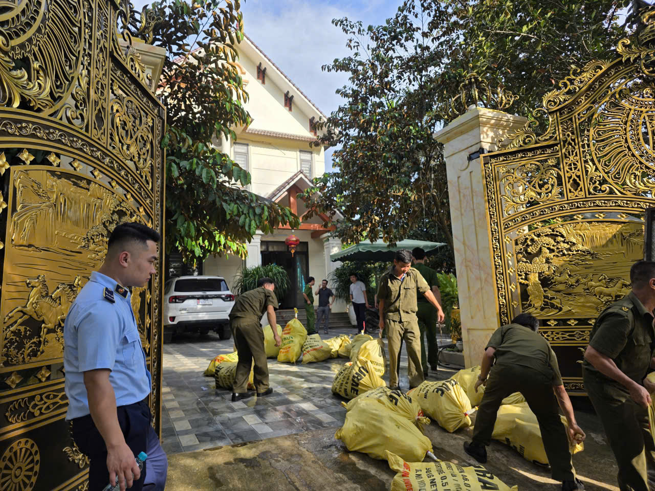 Thanh Hóa: Tạm giữ hình sự 4 đối tượng chuyên buôn lợn nhiễm bệnh