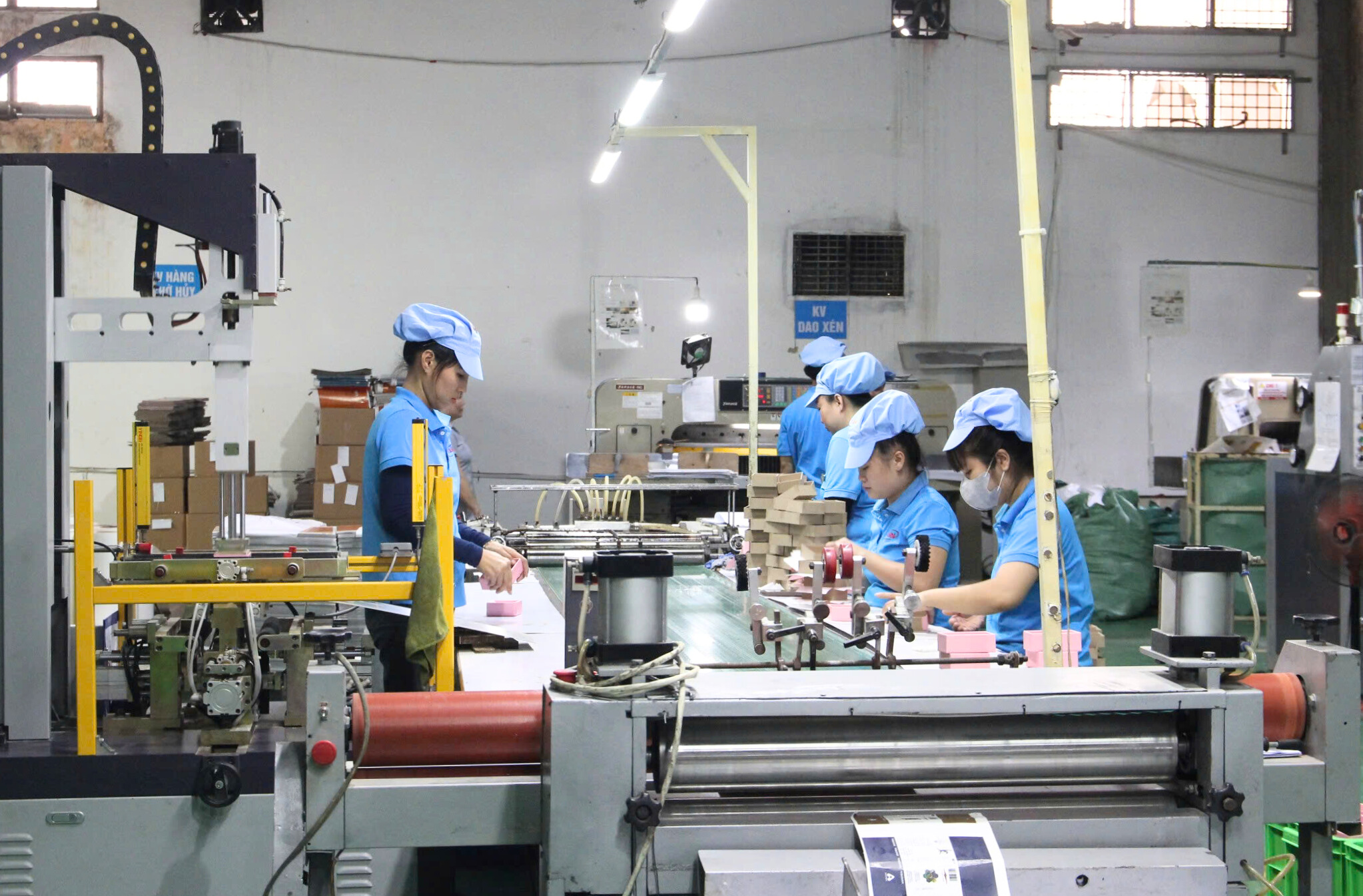 Nghị định giảm thuế và hành chính công trực tuyến 