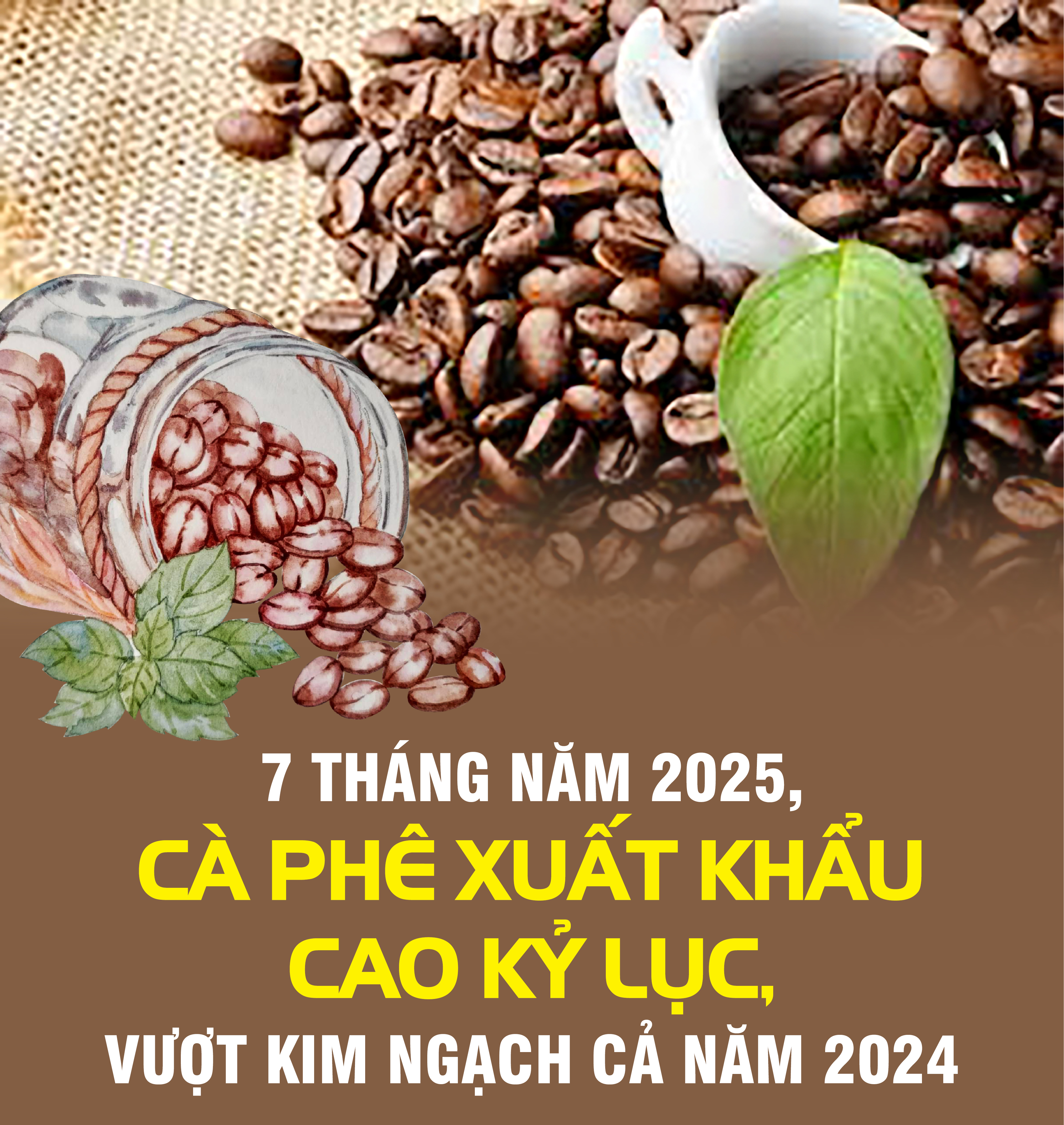 Infographic | 7 tháng năm 2025, cà phê xuất khẩu cao kỷ lục