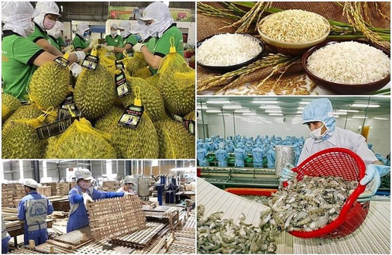 Infographic |7 tháng năm 2025, xuất khẩu nông, lâm, thủy sản tăng 14,7%