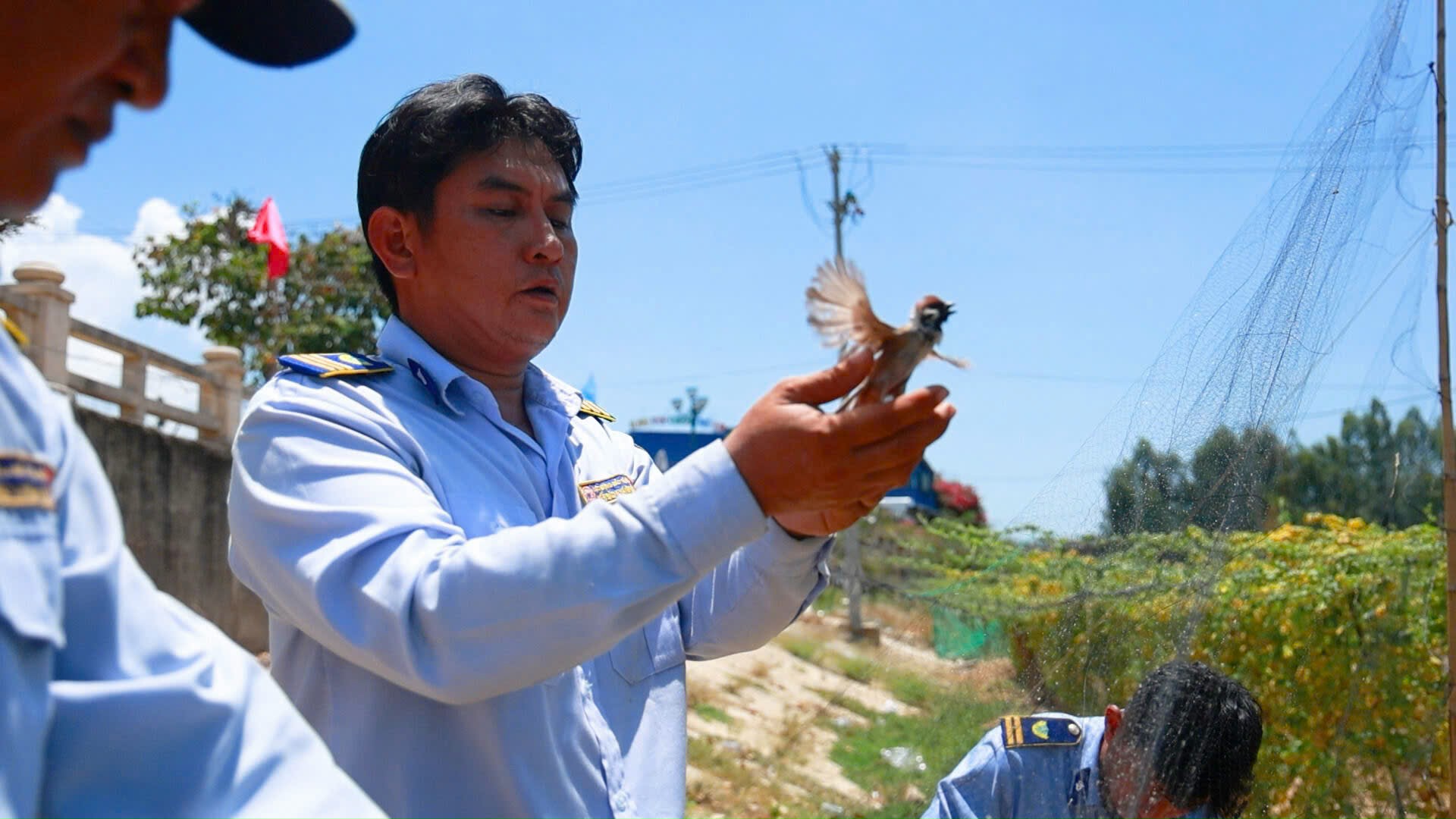 Khẩn cấp giải cứu 'báu vật' biển Khánh Hòa