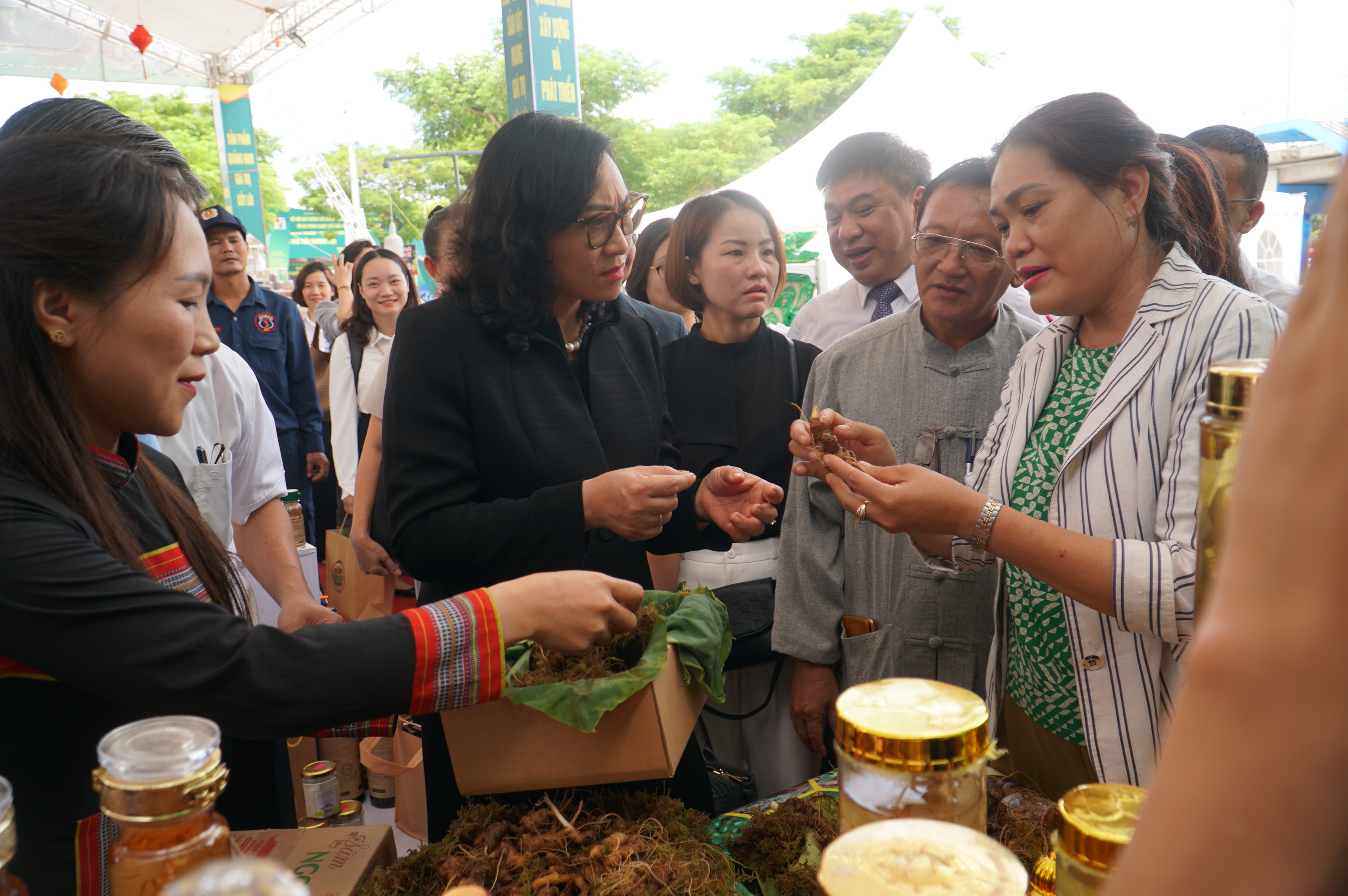 Đà Nẵng: Xúc tiến thương mại cho sâm Ngọc Linh
