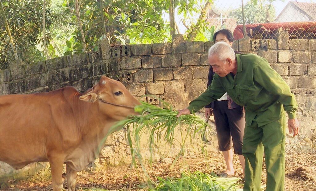 Thanh Hoá: Phát huy hiệu quả công tác giảm nghèo nhờ đa dạng sinh kế