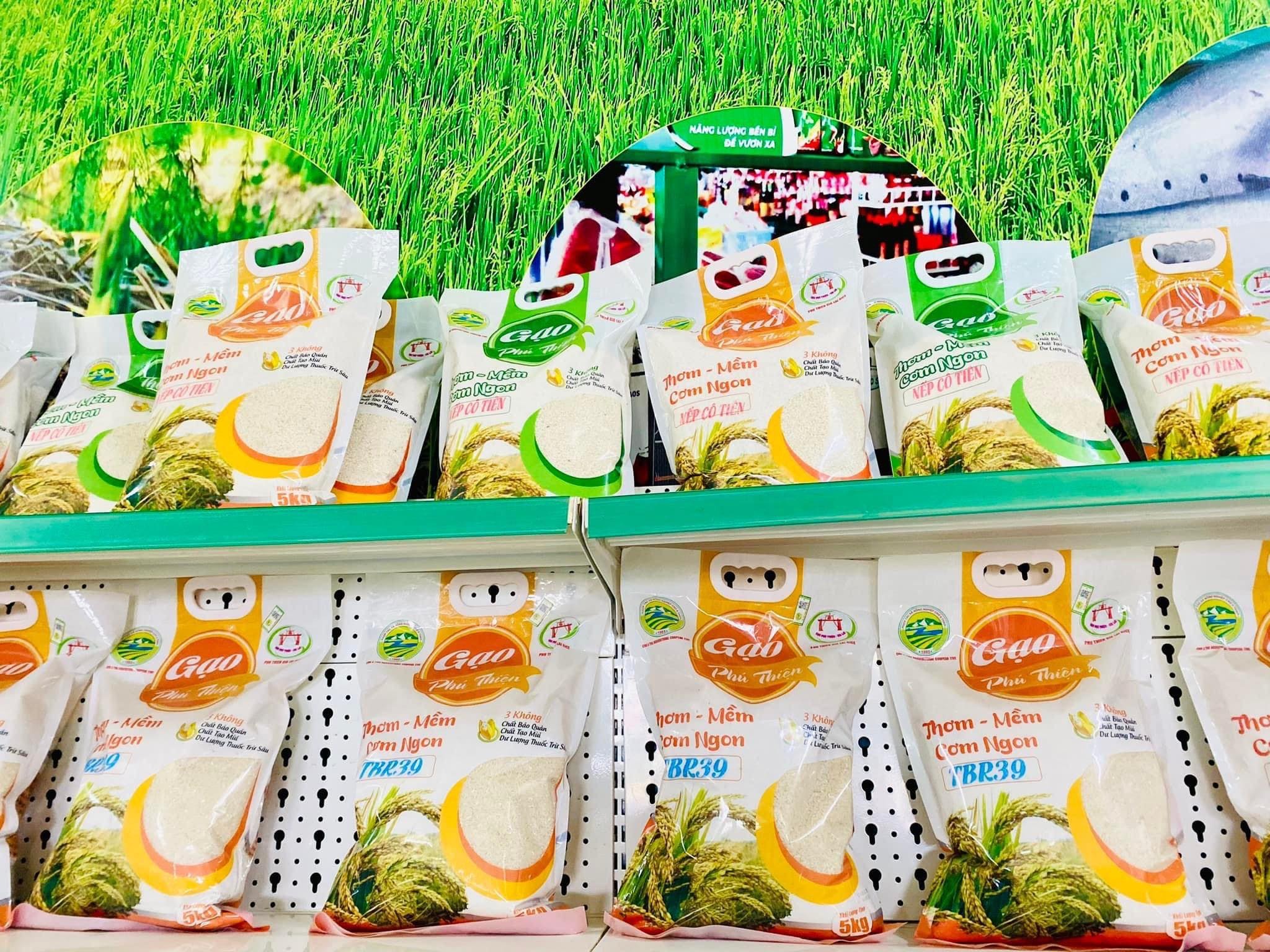 Gạo Phú Thiện: Thương hiệu 'gieo mầm' no ấm cho vùng đất Gia Lai