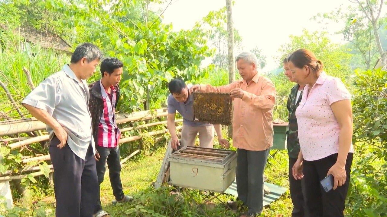 Cao Bằng: Người dân hưởng 'trái ngọt' từ chương trình giảm nghèo