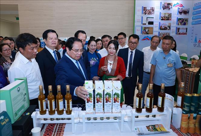 Thủ tướng dự Tổng kết Chương trình mục tiêu quốc gia phát triển kinh tế - xã hội