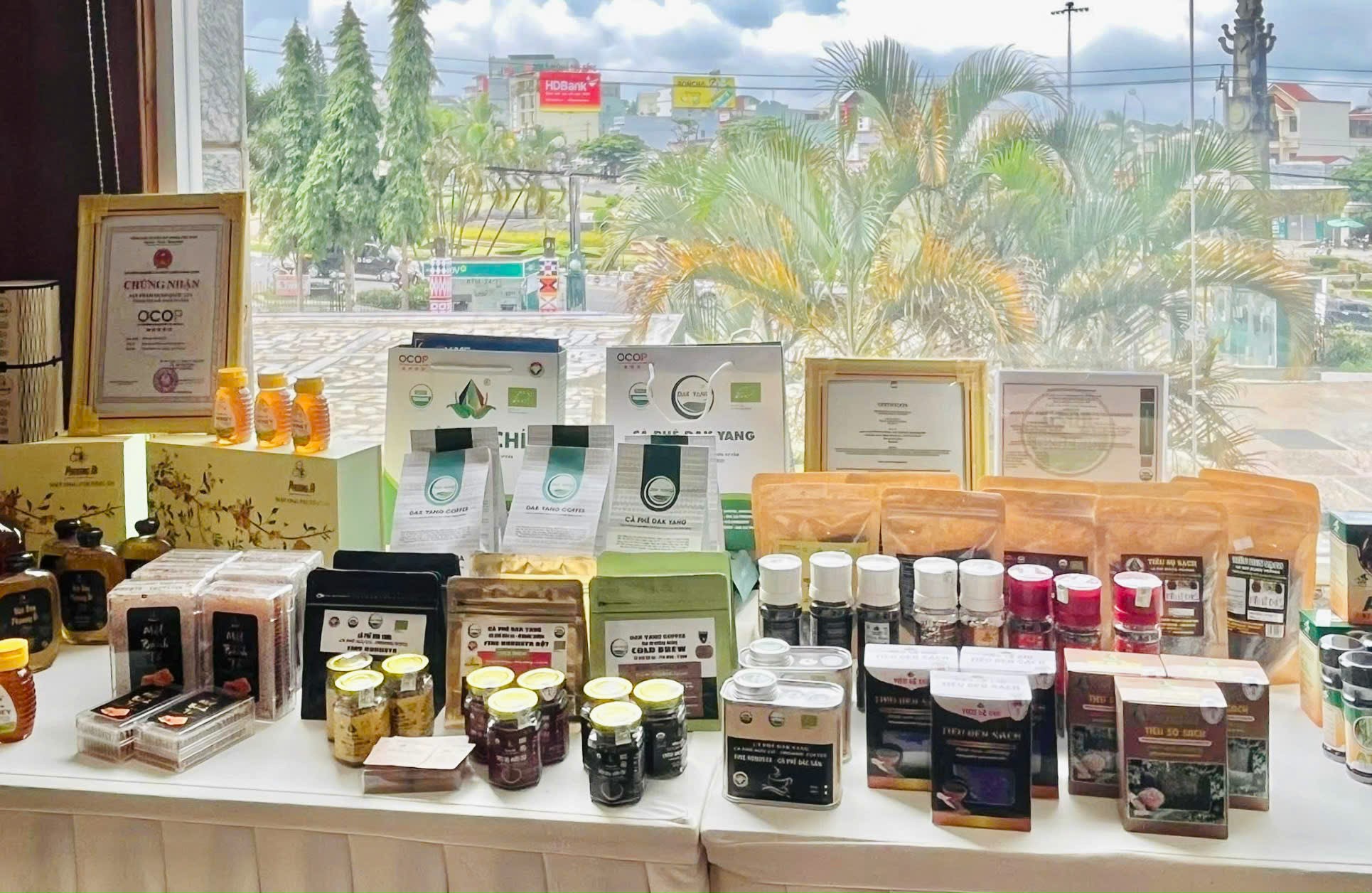 Gia Lai kỳ vọng mở 'cánh cửa vàng' xuất khẩu nông sản sang Trung Quốc