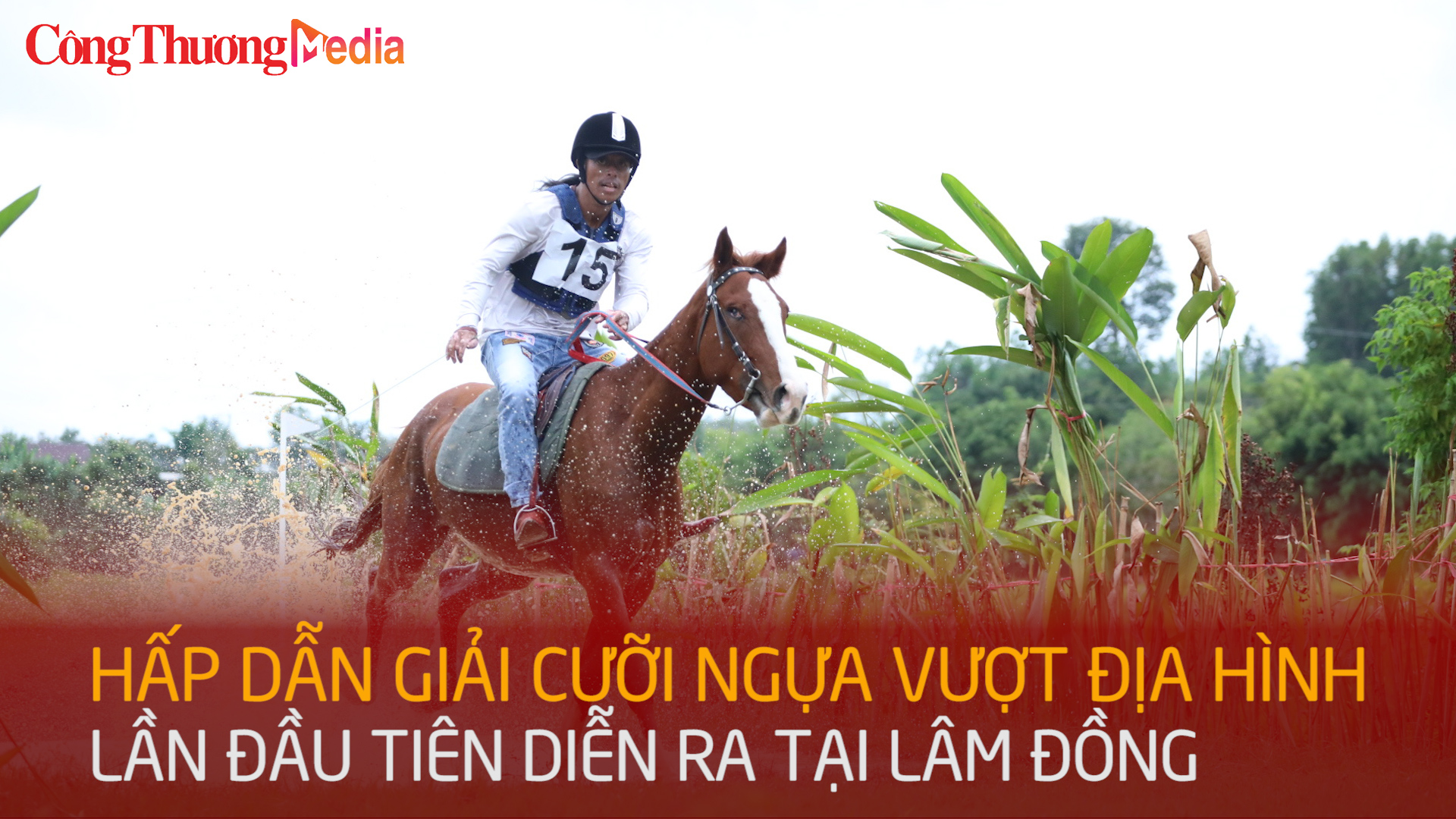 Hấp dẫn giải cưỡi ngựa vượt địa hình lần đầu tiên tại Lâm Đồng