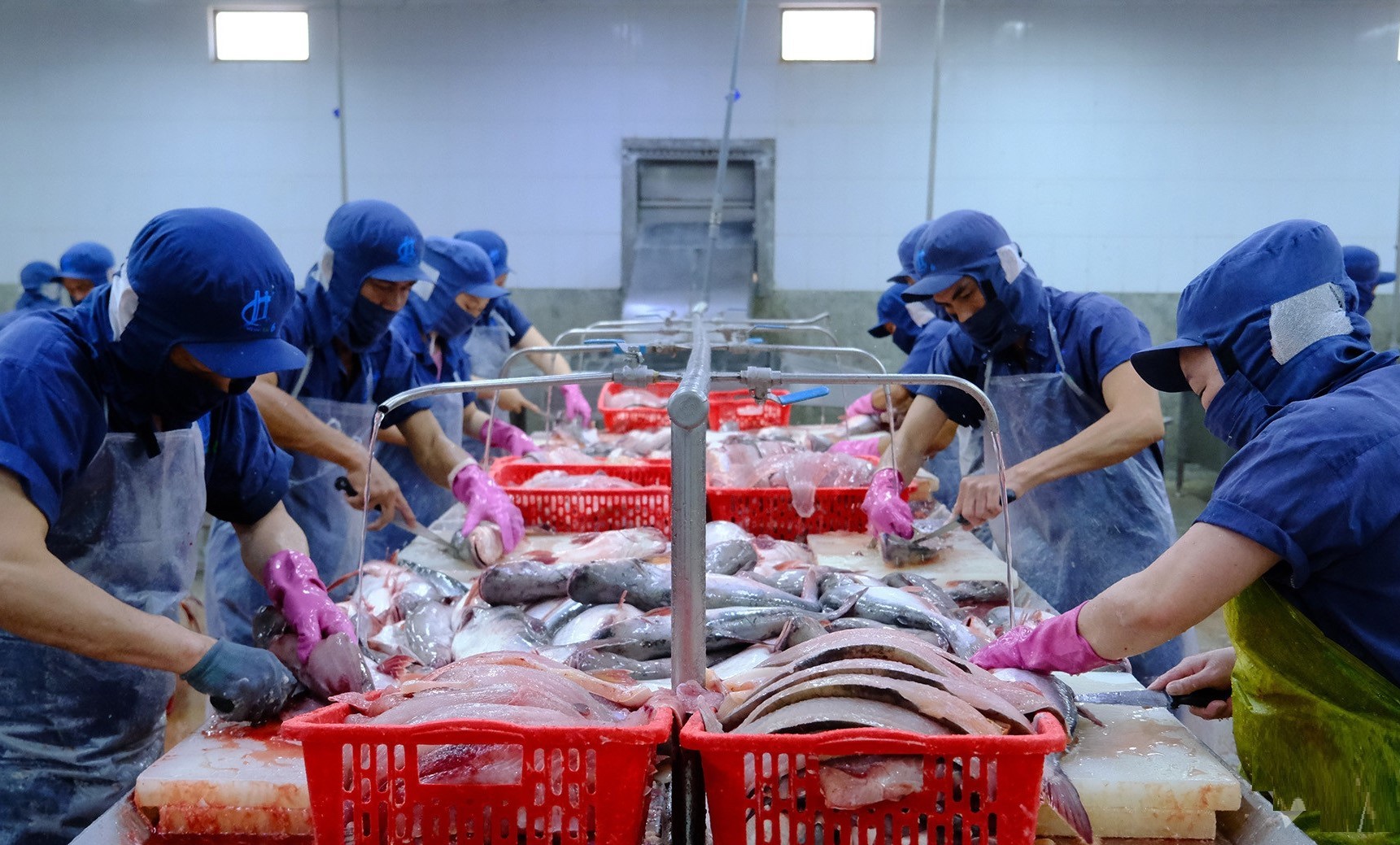 CPTPP giúp hàng Việt 'ghi dấu ấn' mạnh tại thị trường Mexico